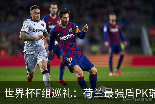 世界杯F组巡礼：荷兰最强盾PK瑞典犀利刀 日本短板明显