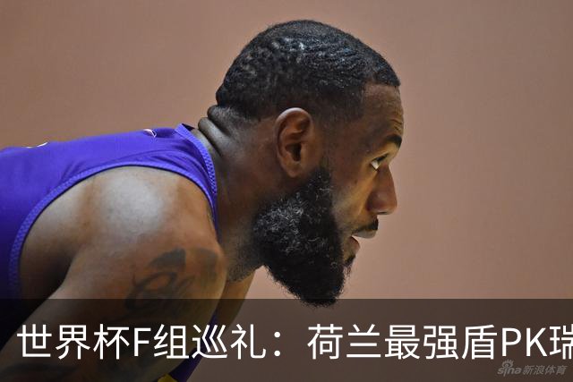 世界杯F组巡礼：荷兰最强盾PK瑞典犀利刀 日本短板明显