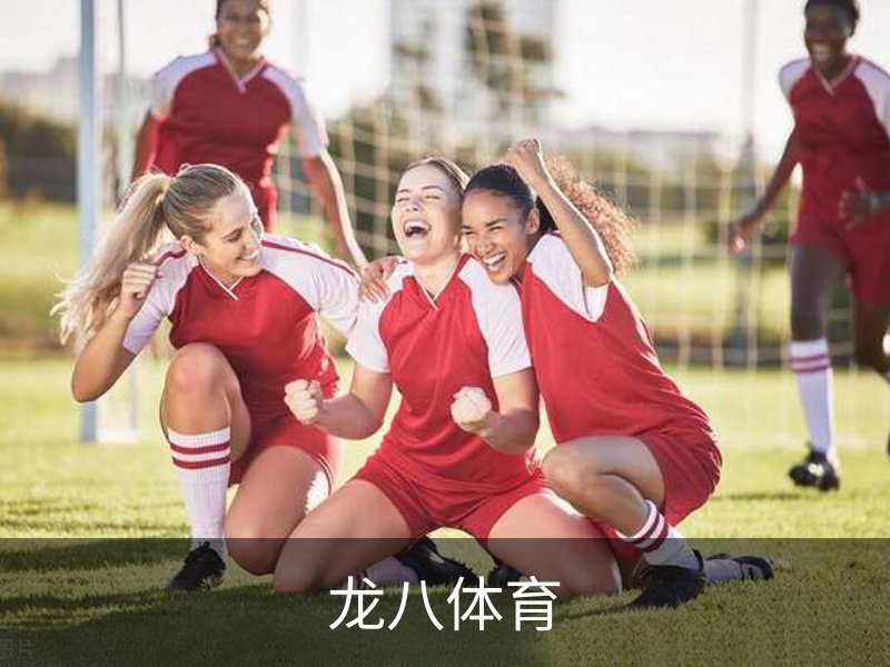 龙八体育品牌故事